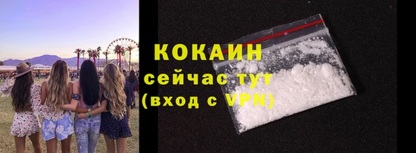 шишки Дмитриев