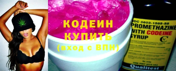 шишки Дмитриев