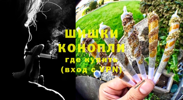 шишки Дмитриев
