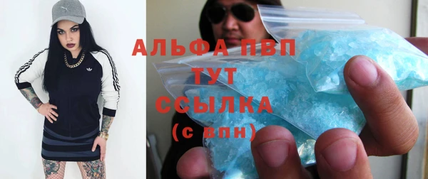 шишки Дмитриев