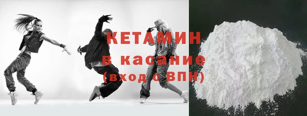 шишки Дмитриев