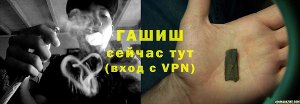 шишки Дмитриев