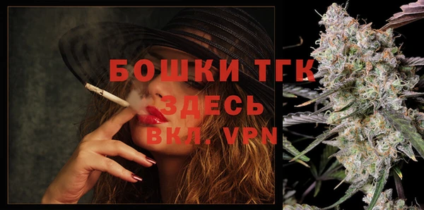 шишки Дмитриев