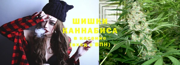СК Дмитровск