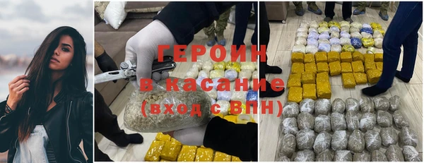 шишки Дмитриев