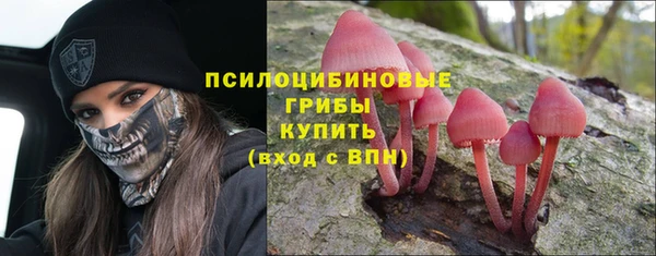 шишки Дмитриев