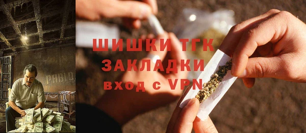 СК Дмитровск