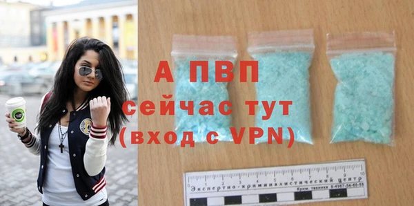 шишки Дмитриев