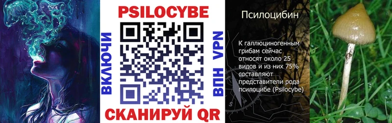 Галлюциногенные грибы мицелий  Купить закладки  Костерёво 